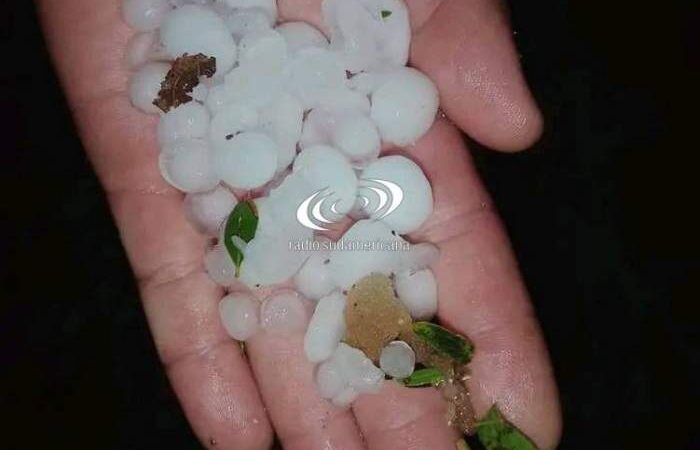 TEMPORAL DE LLUVIA Y GRANIZO PROVOCÓ CAÍDA DE ÁRBOLES Y POSTES