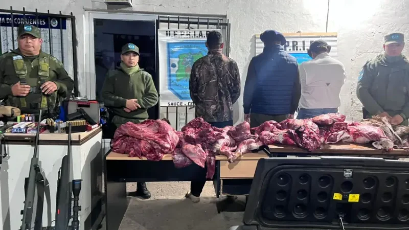 CAZADORES FURTIVOS TRASLADABAN EN UN FREEZER EJEMPLARES DE CIERVO AXIS Y UN CHANCHO SALVAJE