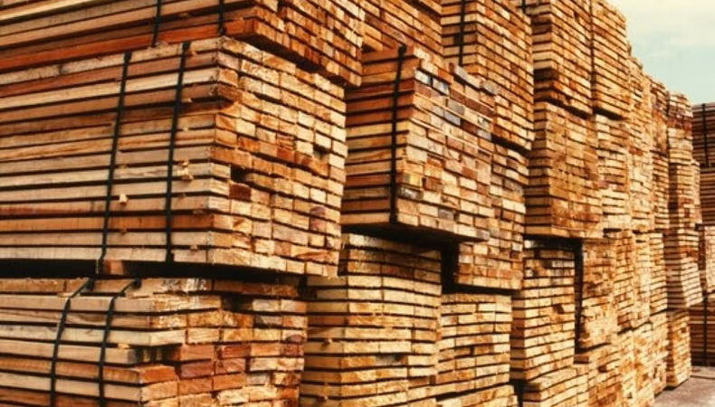 CORRIENTES IMPULSÓ SUS EXPORTACIONES EN EL PRIMER SEMESTRE LIDERADAS POR LA MADERA Y EL ARROZ